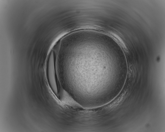 X0000095940804200801181359