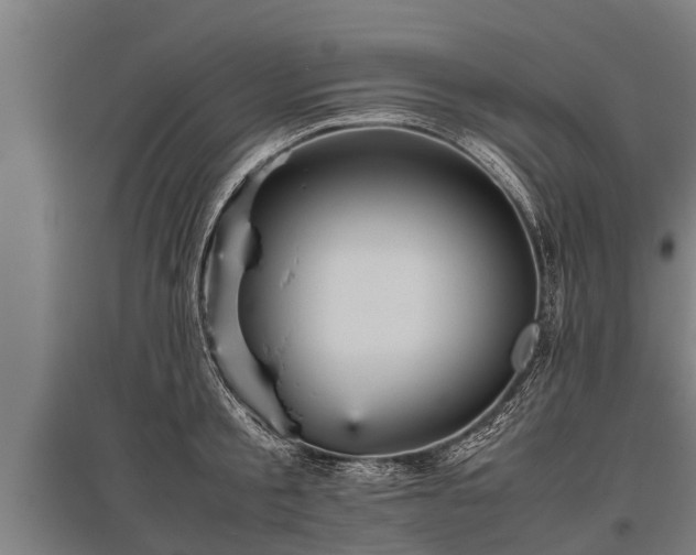 X0000095940805200801181359