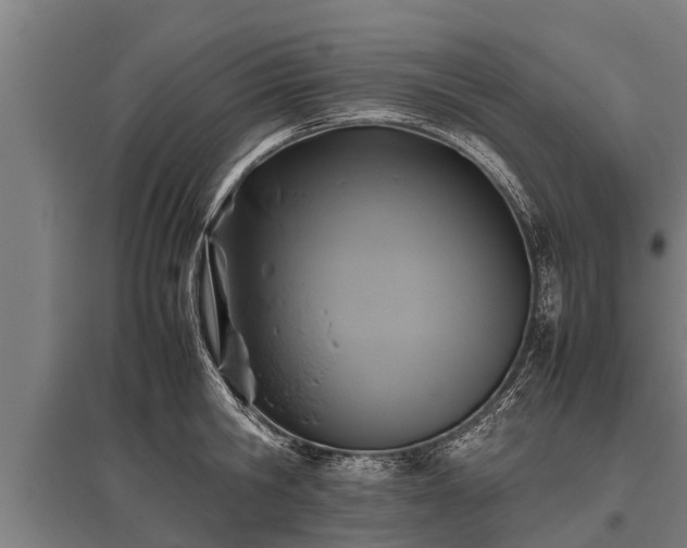 X0000095940806200801181359