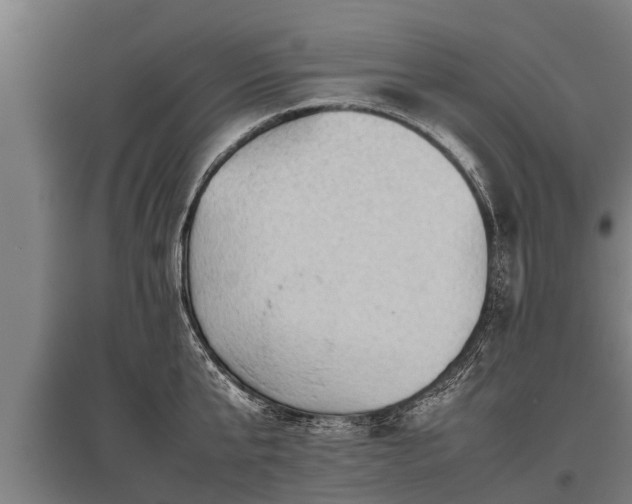 X0000095940807200801181359