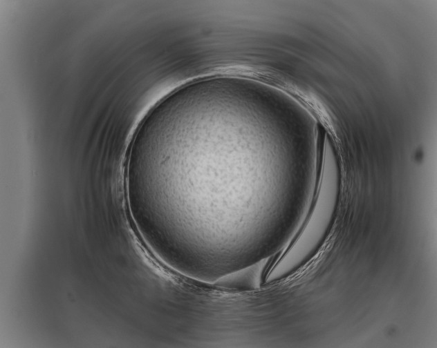 X0000095940808200801181359