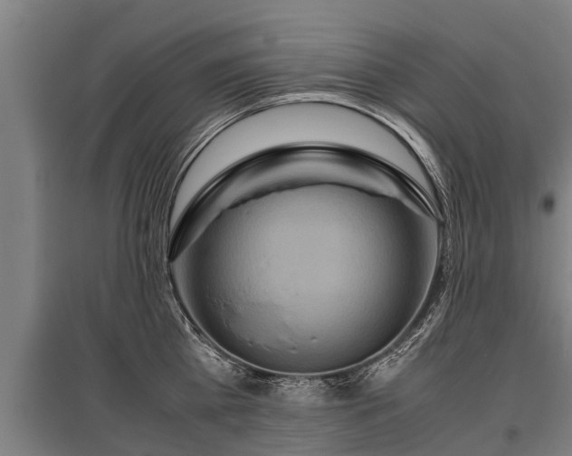 X0000095940809200801181359