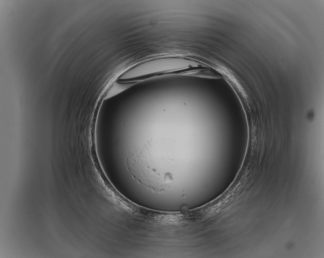 X0000095940810200801181359