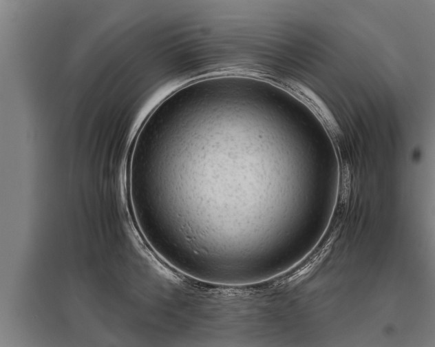 X0000095940812200801181359