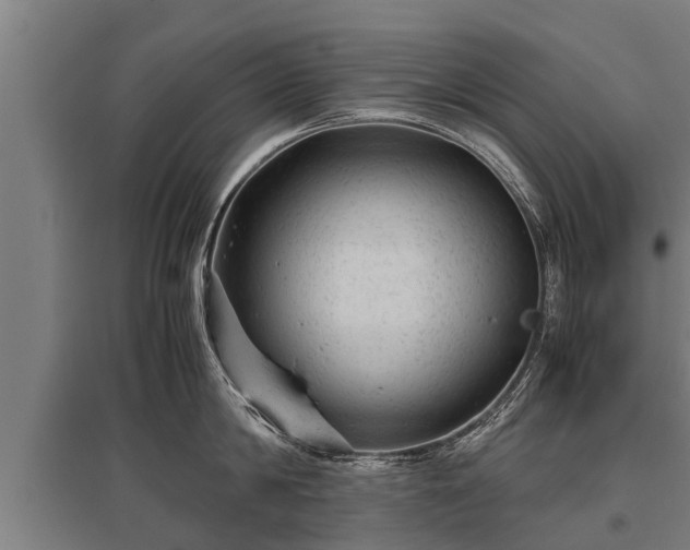 X0000095940814200801181359