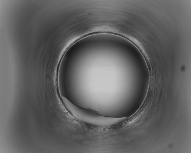 X0000095940815200801181359