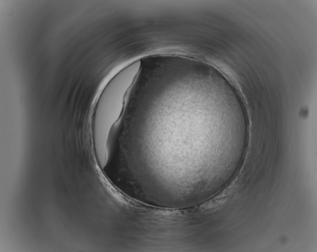 X0000095940816200801181359