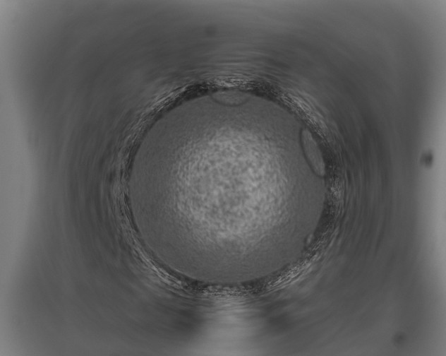 X0000095940817200801181358