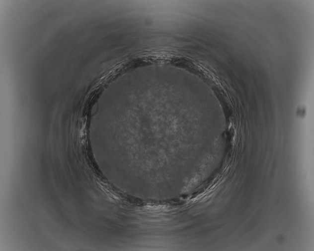 X0000095940818200801181358