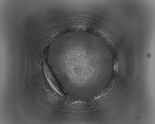 X0000095940819200801181358