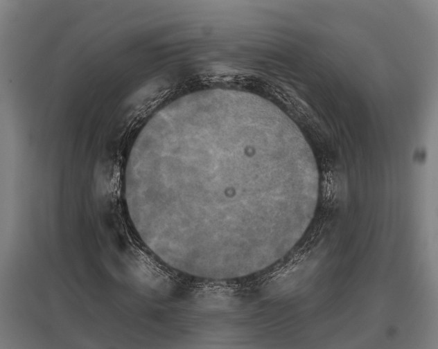 X0000095940820200801181358