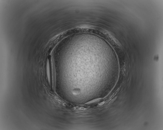 X0000095940821200801181358
