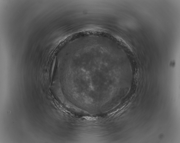 X0000095940822200801181358
