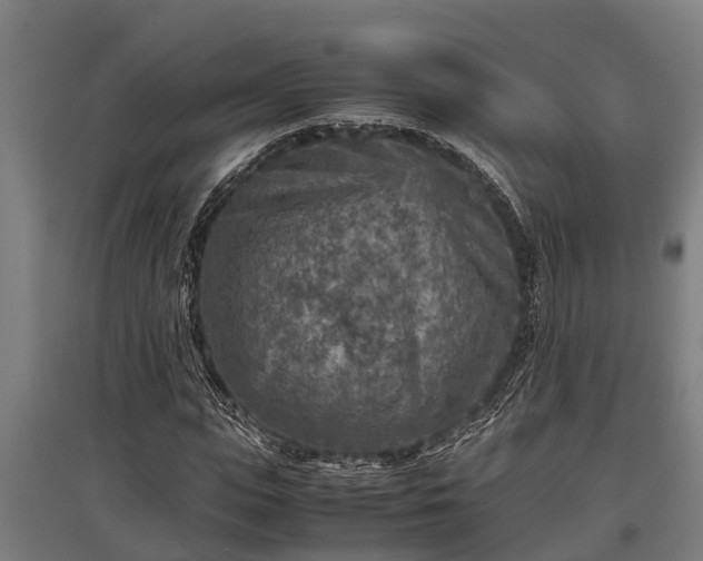 X0000095940823200801181358