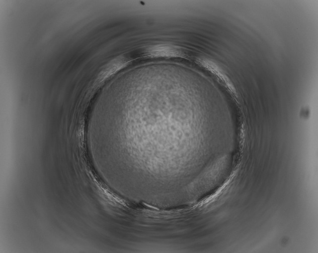 X0000095940825200801181358