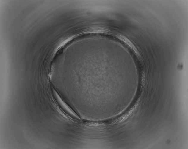 X0000095940826200801181358