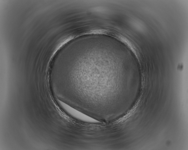 X0000095940827200801181358