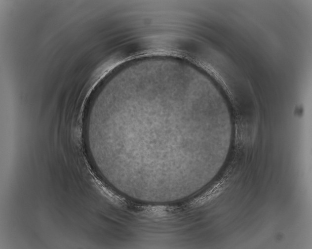 X0000095940828200801181359