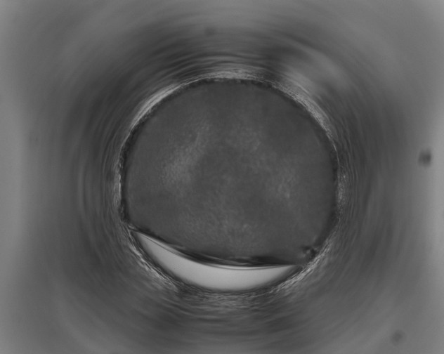 X0000095940829200801181359