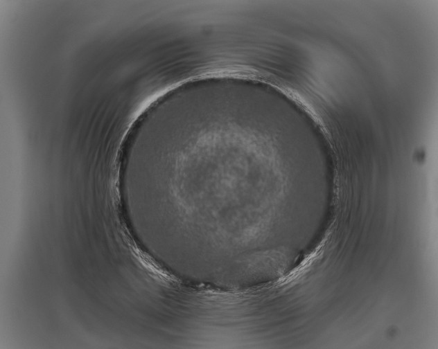 X0000095940830200801181359
