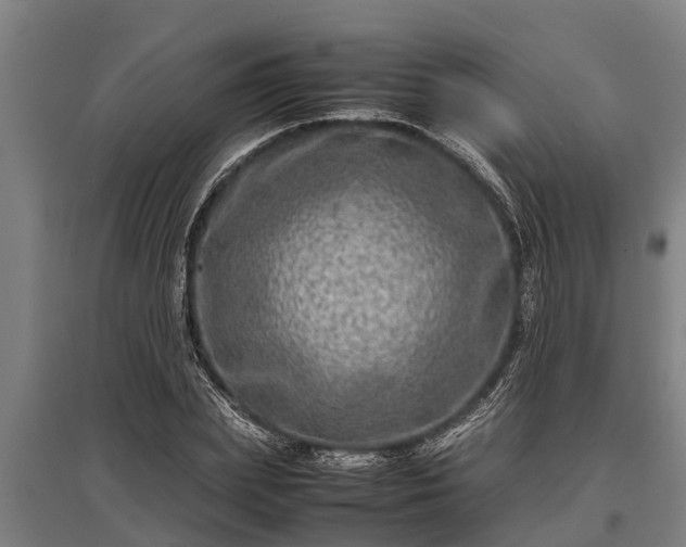 X0000095940831200801181359