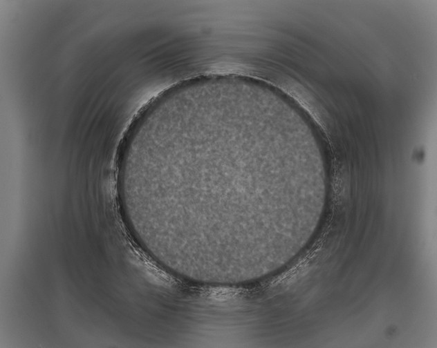 X0000095940832200801181359