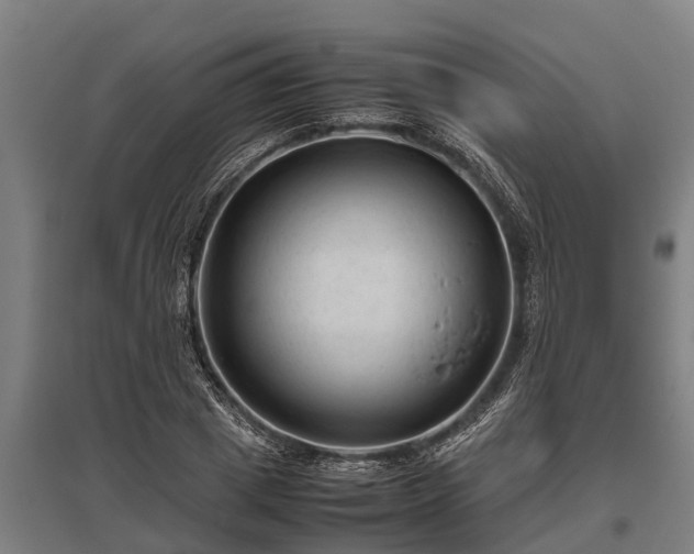 X0000095940833200801181359