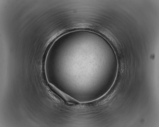 X0000095940834200801181359