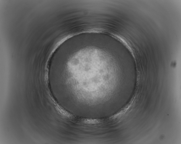 X0000095940835200801181359