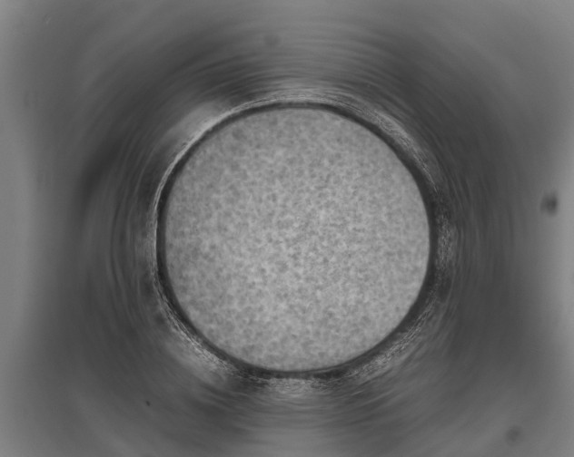 X0000095940836200801181359