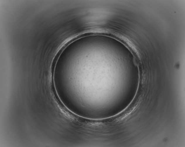X0000095940837200801181359
