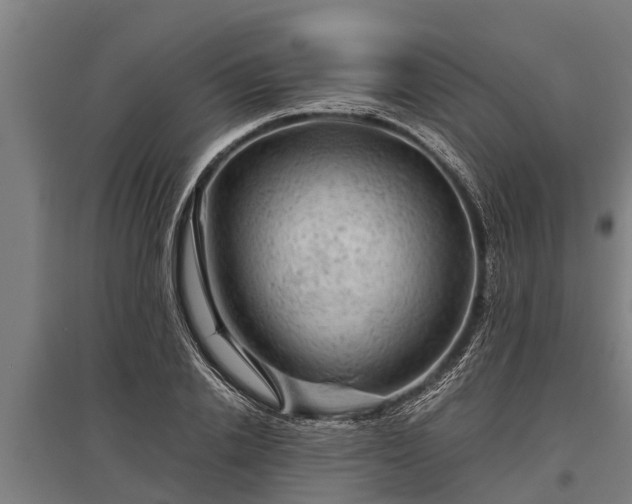 X0000095940838200801181359