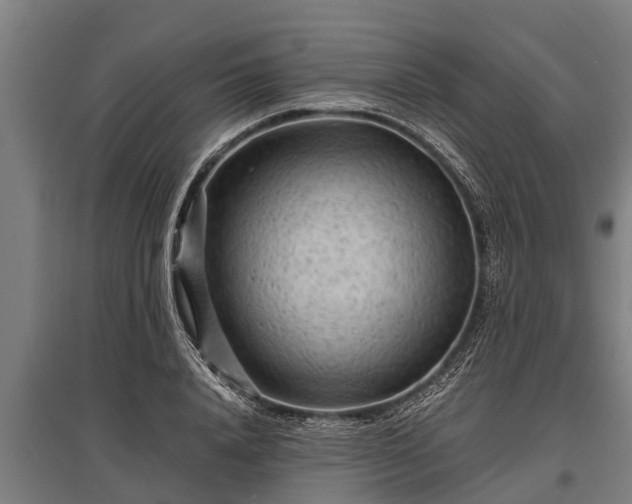 X0000095940840200801181359