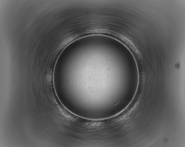 X0000095940841200801181359