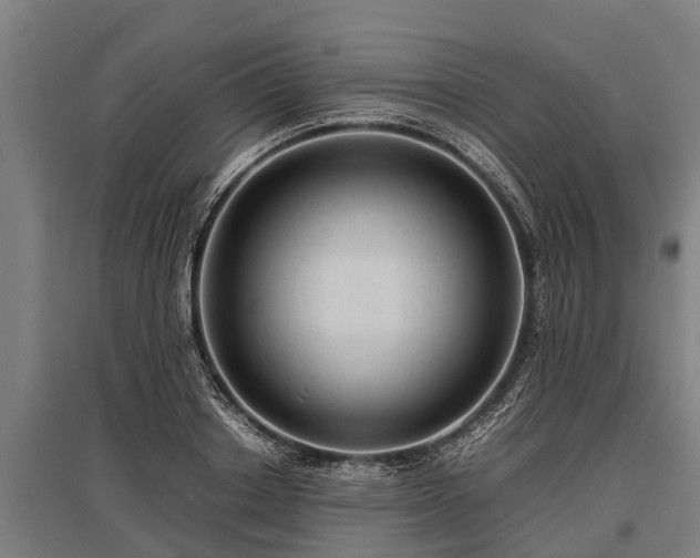 X0000095940842200801181359