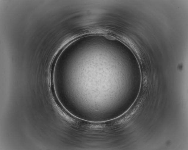 X0000095940843200801181359