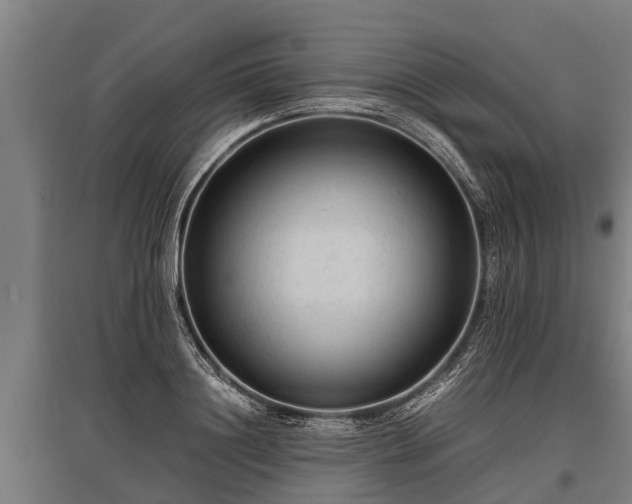 X0000095940844200801181359