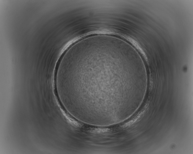 X0000095940845200801181359