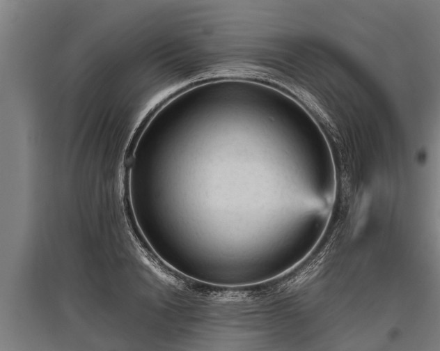 X0000095940846200801181359