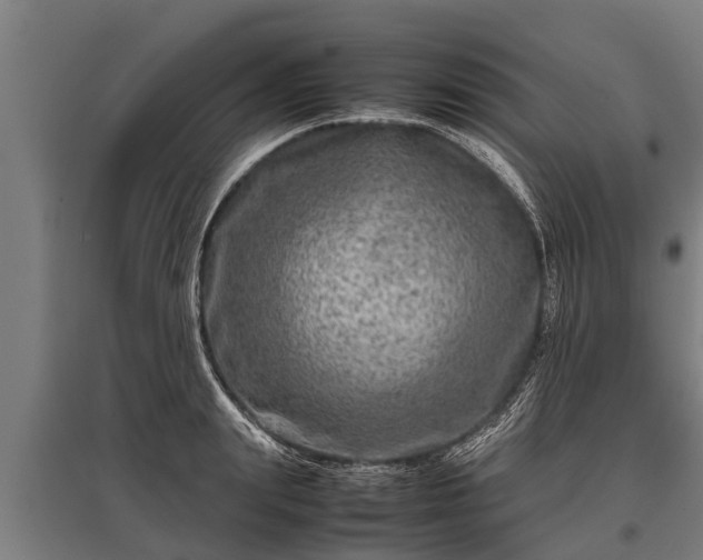 X0000095940847200801181359