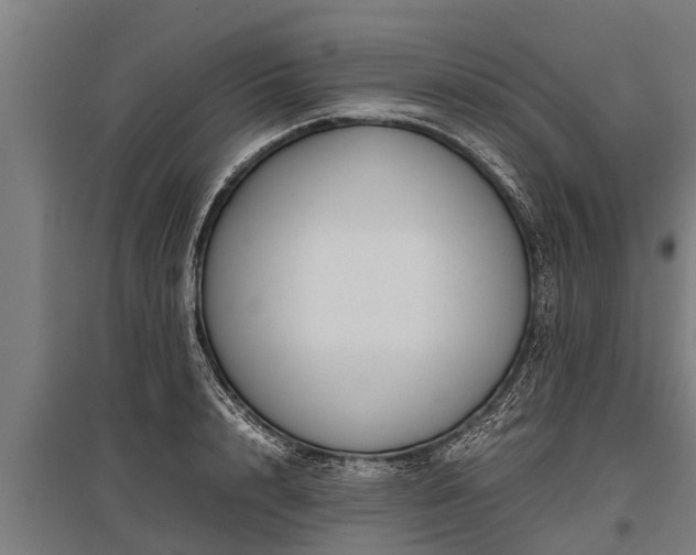 X0000095940848200801181359