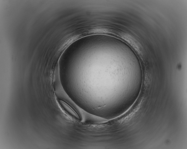 X0000095940849200801181359
