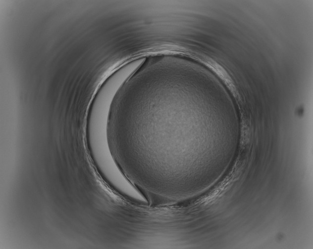 X0000095940850200801181359