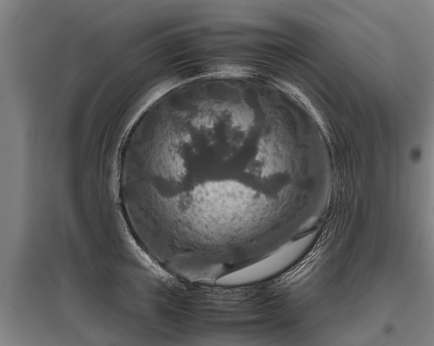 X0000095940851200801181359