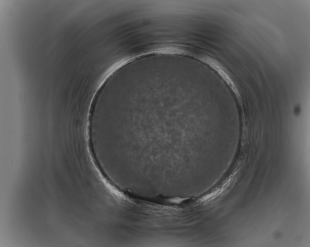 X0000095940853200801181359