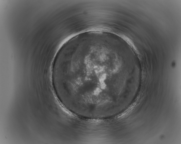 X0000095940854200801181359