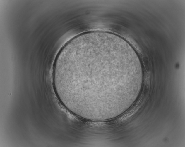 X0000095940856200801181359