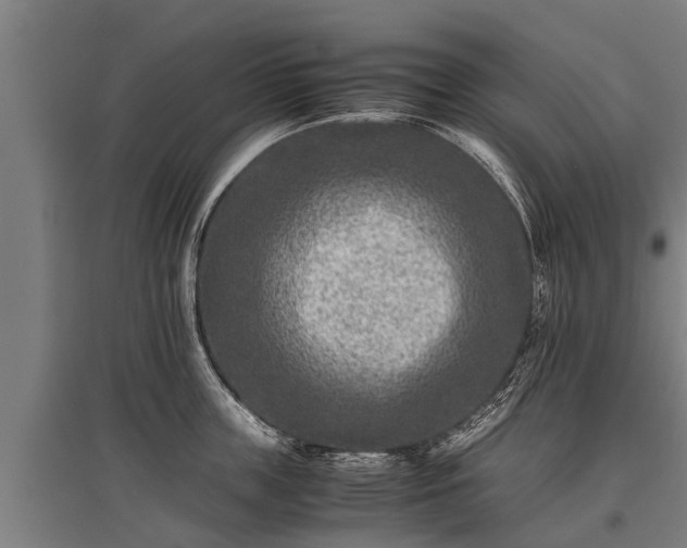 X0000095940859200801181359