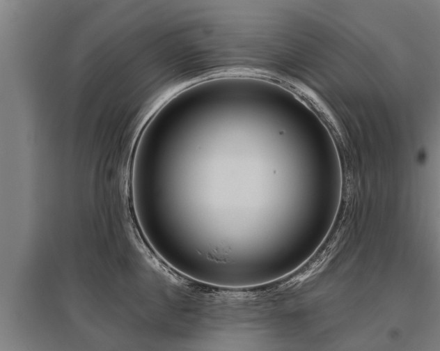 X0000095940860200801181359