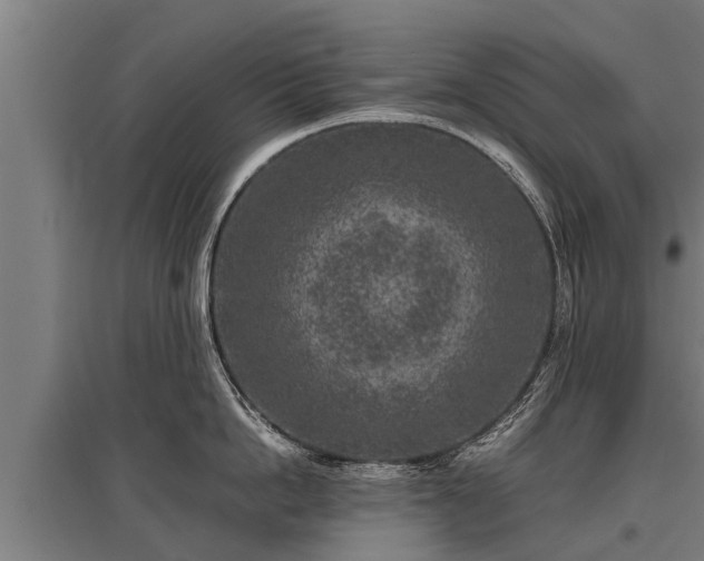 X0000095940862200801181359